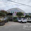 정일조경 이미지