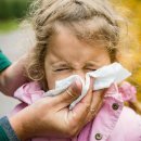 주식회사 그린정보통신 이미지