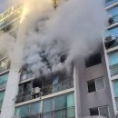 평택-평택-11 이미지