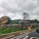 뉴얼리키즈풀빌라 이미지