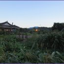 영주수도리김뢰진가옥 이미지