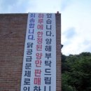 산닭백숙