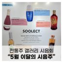 전통주갤러리: 2025년 5월 (지장수 호박막걸리, 자연담은 복분자막걸리, 황진이, 3004 삼천포, 소나무와...