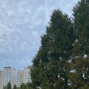 그라츠커피랩 - 과천시 관문로 92 | 그라츠커피랩