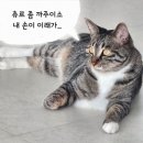 이게PC방이다 도마점 | 6월 : 이건 첫번째 레슨 주말엔 누워있기