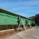 보령양돈장 이미지