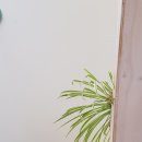 칠성여인숙 이미지