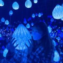 모안펜션 이미지