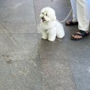 상우목장 이미지