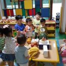 강이은 카카오 검색결과