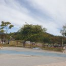 (주)티블루 이미지