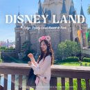 헤븐랜드컨트리클럽 | 전 세계 디즈니 9번 가본 디친자의 도쿄 디즈니랜드 꿀팁 총정리 (오픈런, DPA, 어트랙션 추천, 간식)