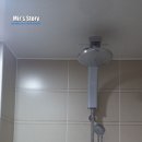 리버무인텔 이미지