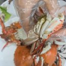 부안여행시 맛집 추천, 꼭 들려야할 식당, 울엄마 식당 후기