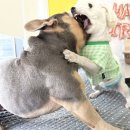 인생개획 이미지