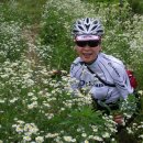 안산 와동공원 이미지