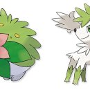 영상으로 나를 표현하자 이미지