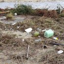 황토바다 이미지