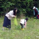 청정수풀 이미지