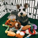 주견야독 이미지