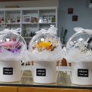 서울로터스치과의원 이미지