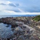 하례망장포로 이미지