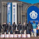 루카스독트레이닝 이미지