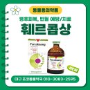 초코약국 이미지