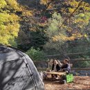 내장산국립공원 내장야영장 네이버블로그