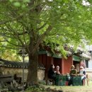 철원제분소 이미지