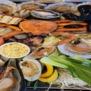 바다다조개다앤팝쿠아 이미지