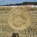 모세목장 이미지