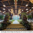 웰링턴뷰 | 대전 웨딩홀 추천 야외 분위기 가득한 라비에벨 포레스트뷰 결혼식 후기