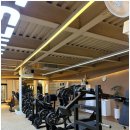 브로피트니스 이미지