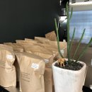 대가야동물병원 이미지