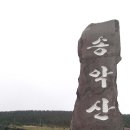 제주 서귀포 송악산 이미지