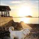 이시