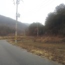 팜힐 Daum카페