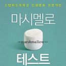 [스탠퍼드대학교 인생변화 프로젝트] 마시멜로 테스트 : 자제력도 습관이다! [한국경제신문사 출판사] 서평이벤트 이미지