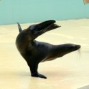 카피랜드 이미지