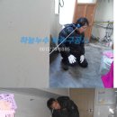 대성초후문 이미지