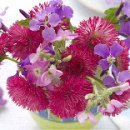 행복한 꽃 이미지