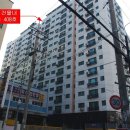 진성투토펠리체 네이버블로그