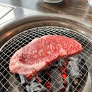 고석정정육식당 | 철원 한우 식당 고석정 한우촌 비추