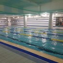 청소년수련관 수영장 이미지