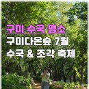 제주온다온 | 구미다온숲 7월 수국 축제 입장료 주차 가는법