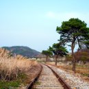 공공용 40 이미지