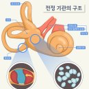 싱긋삼성이비인후과의원 네이버블로그