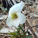 구일농장 이미지