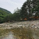 솔밭캠프장 이미지